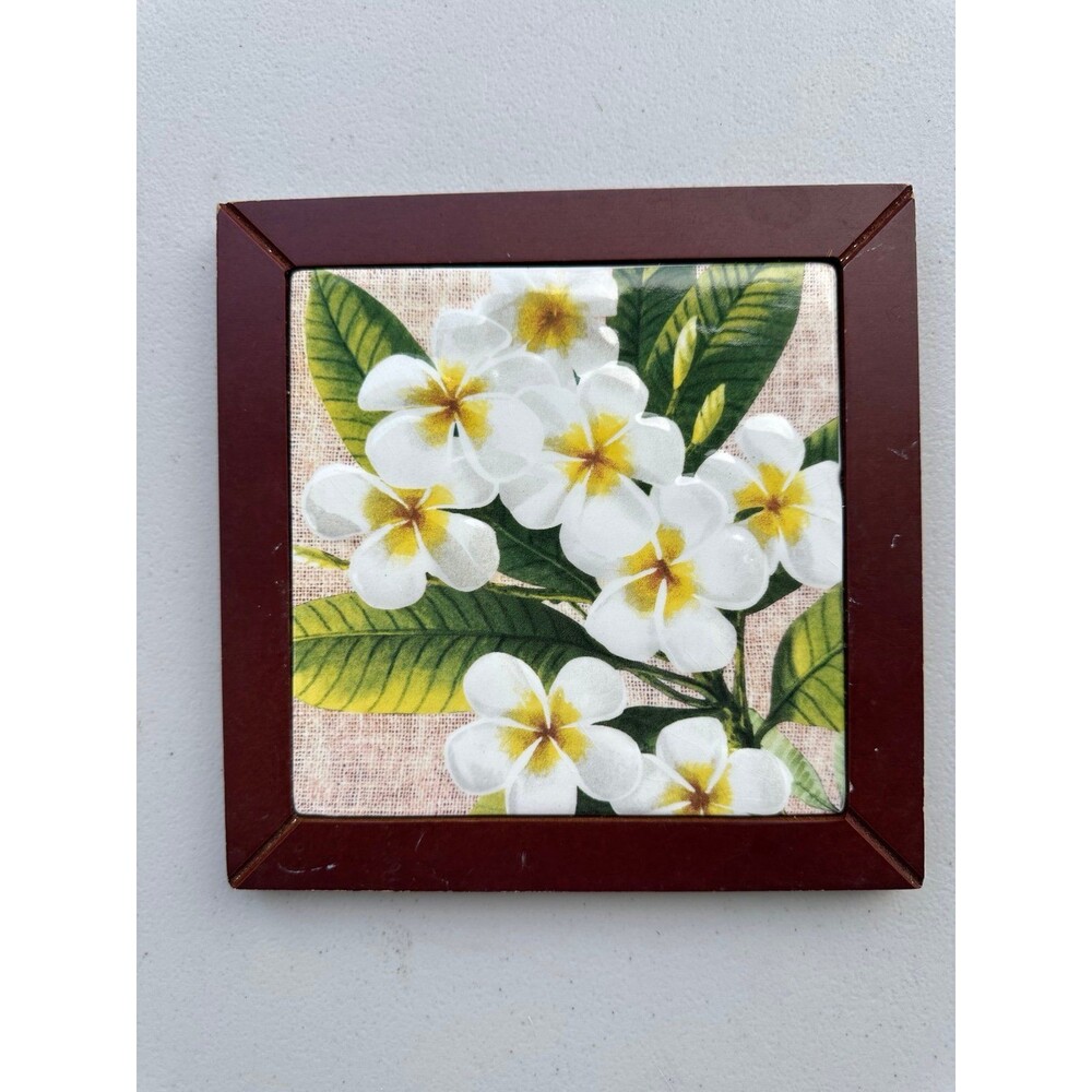 Island Heritage Hawaiian Tropical Textured Plumeria Flower Hot Trivet Wall Decor